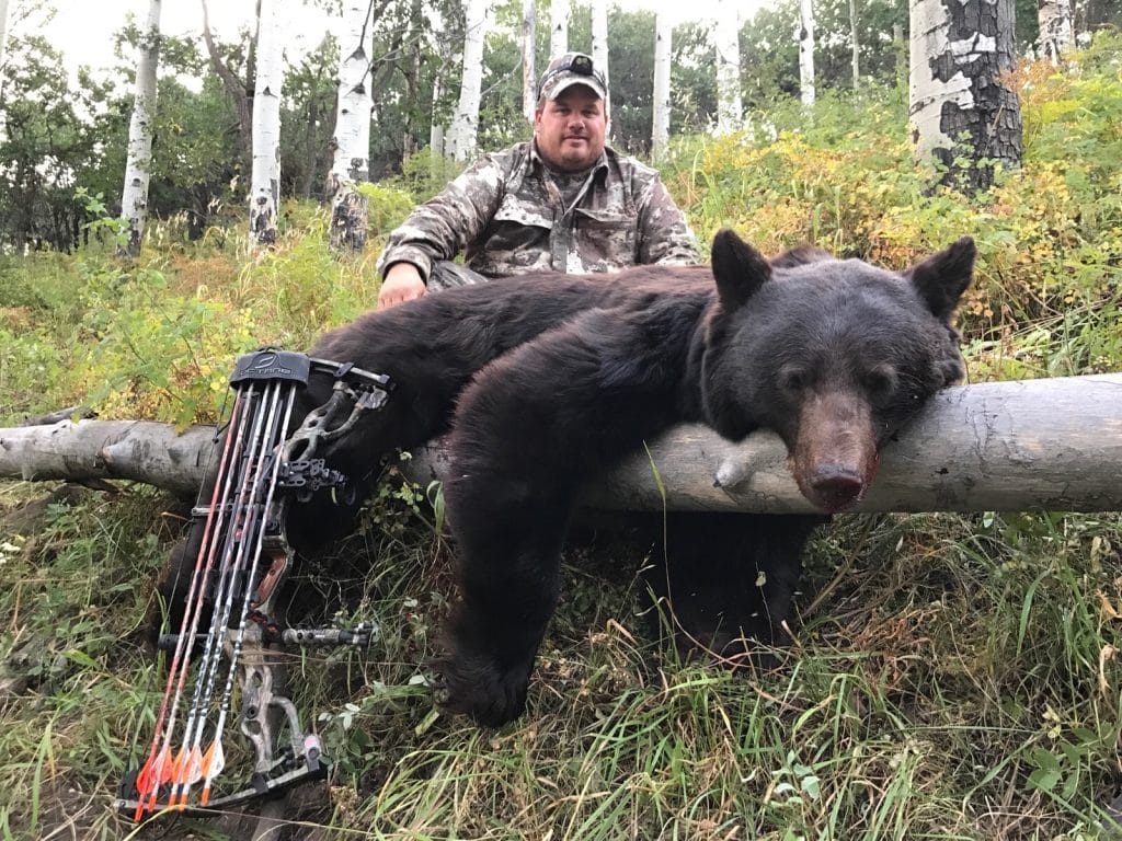 Archery bear hunt