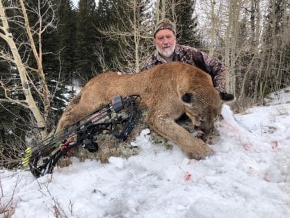 trophy cougar hunt