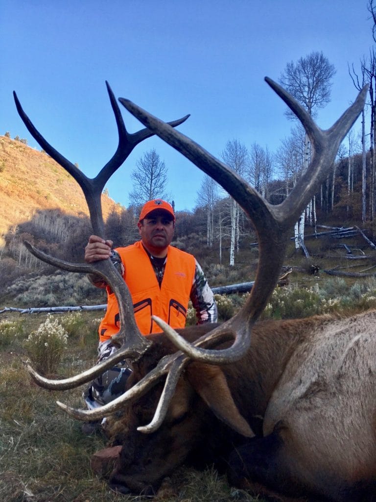 bull elk taken in Colorado unit 61 during 1st rifle season. Guided by Allout outfitters