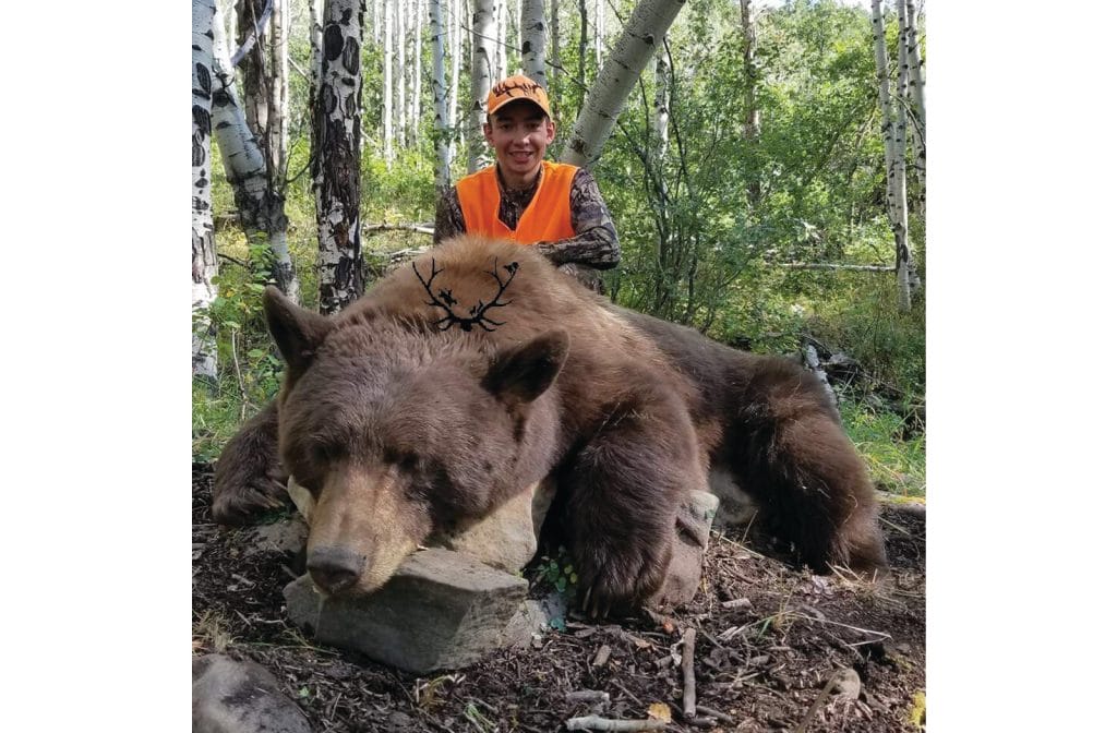 Trophy bear hunting in unit 61