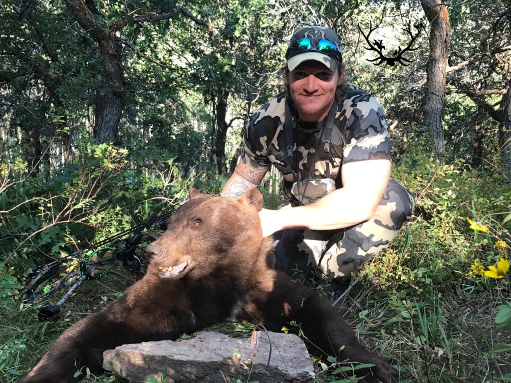 Successful day of bear hunting.