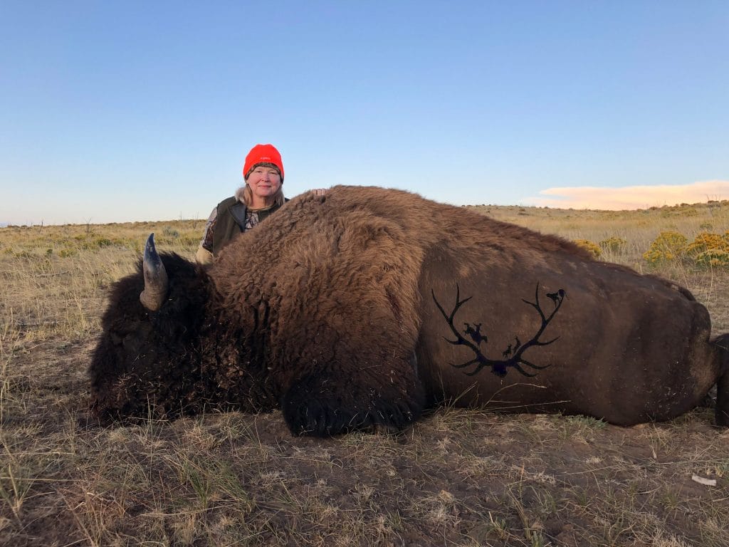 Bison hunting on the Bookcliff's in Utah with Allout Guiding & Outfitting.