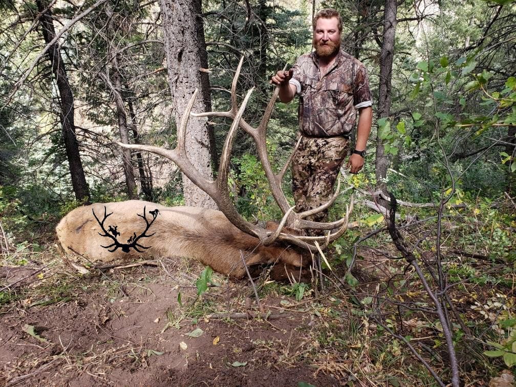 unit 61 elk hunting