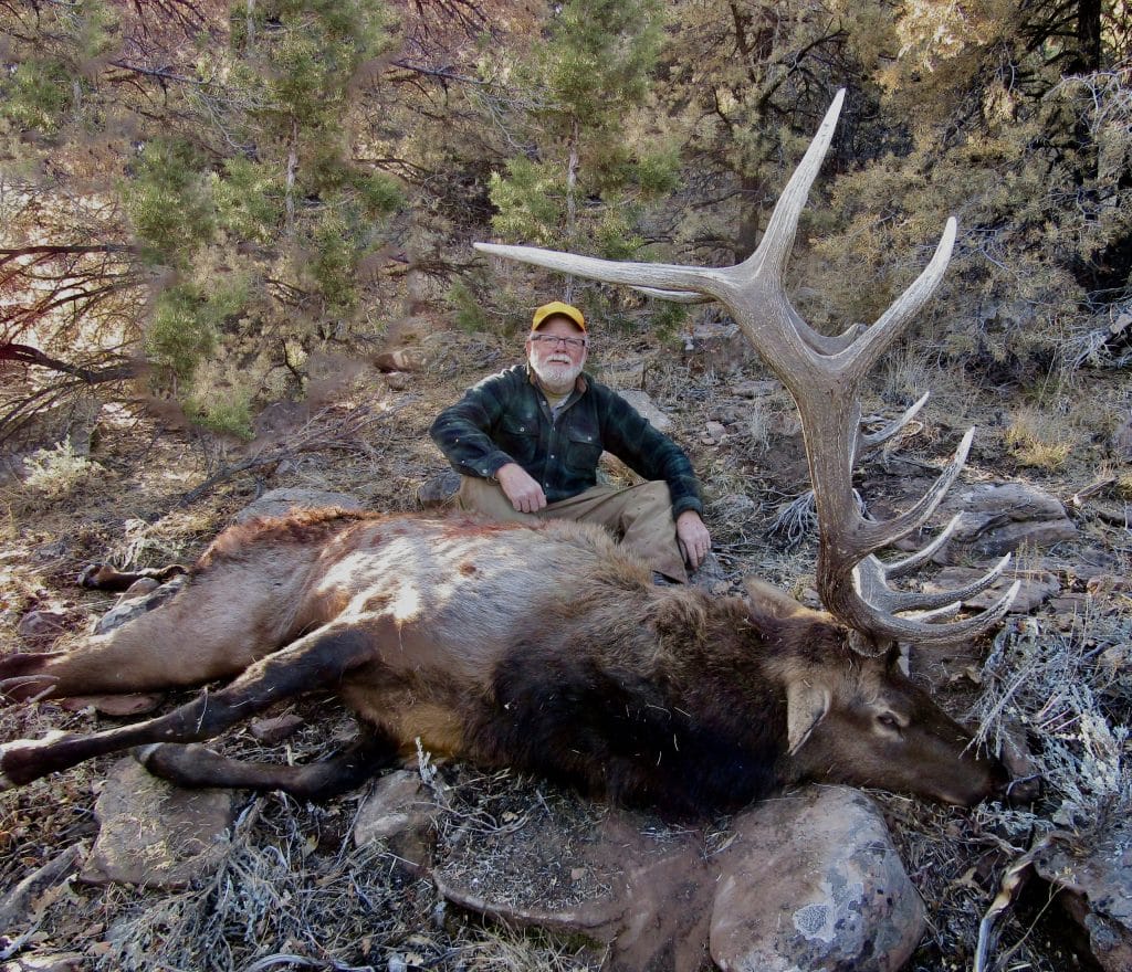 Colorado elk hunting with Allout Guiding & Outfitting