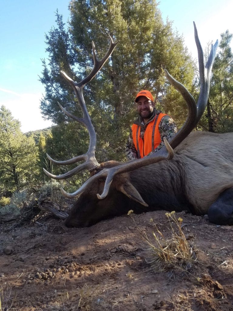 Guided Colorado elk hunt