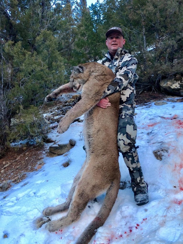 guided mountain hunt in Utah