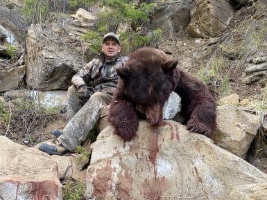 guided Utah Bookcliffs bear