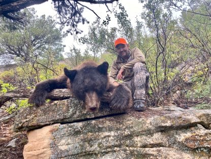 colorado black bear hunting