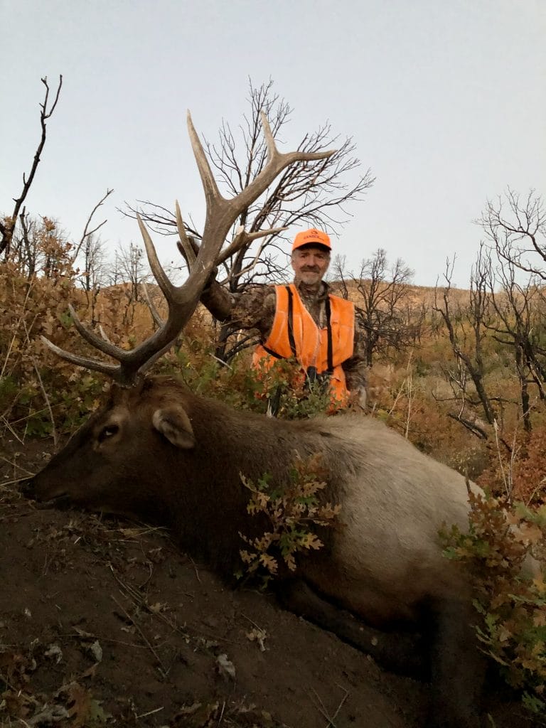 guided bull elk hunt in Colorado.