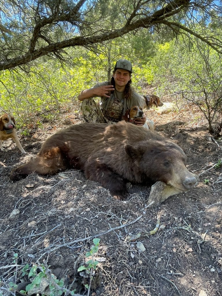 Utah bear hunts on the Bookcliffs