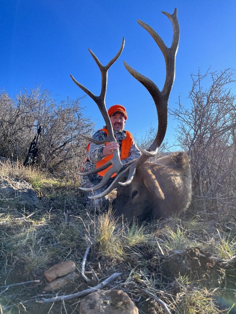 Guided elk hunting in Colorado.