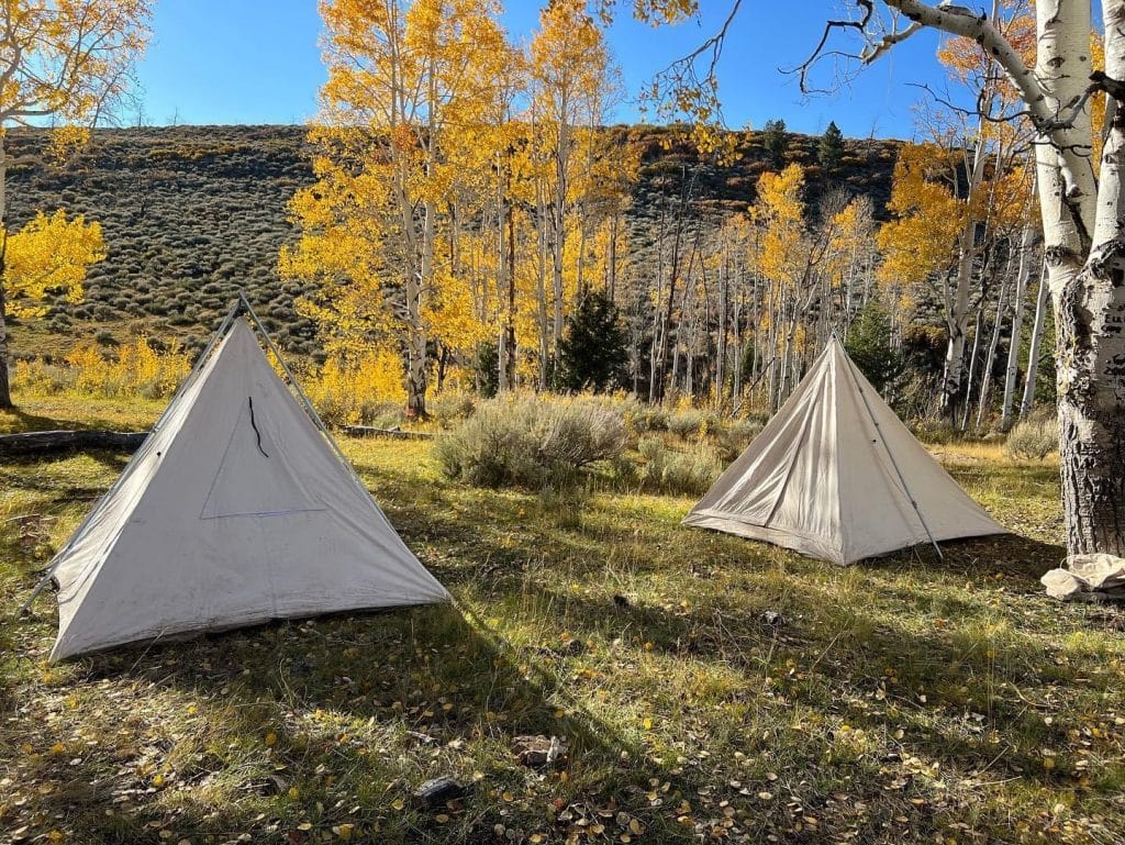 Bookcliff bison camp