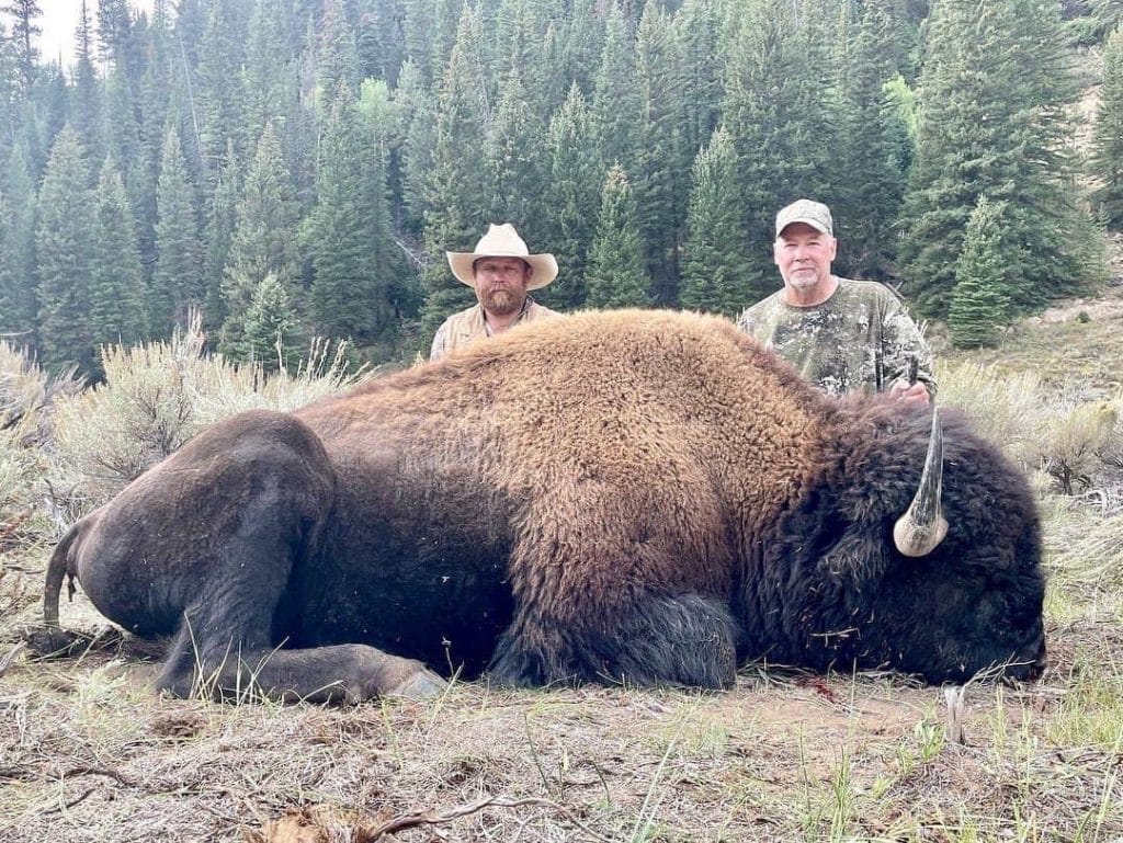 Roadless bison hunt guided by Allout Guiding & Outfitting