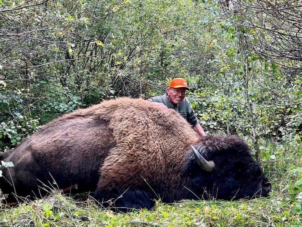 Bookcliffroadless bison hunt