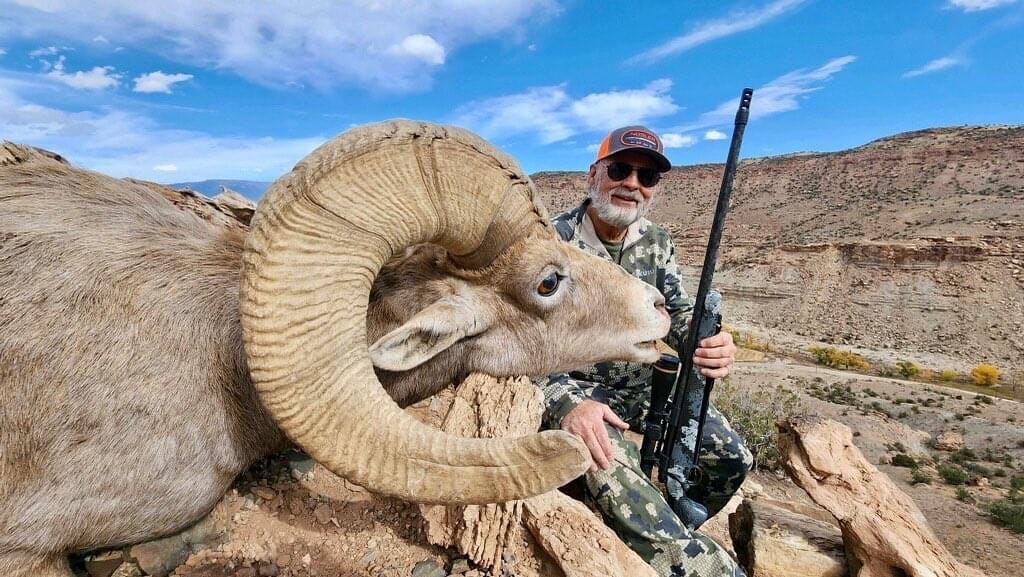 guided Colorado desert bighorn sheep from S-62