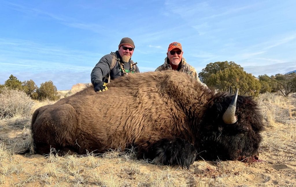 Henry mountain bison hunting with Allout Guiding & Outfitting