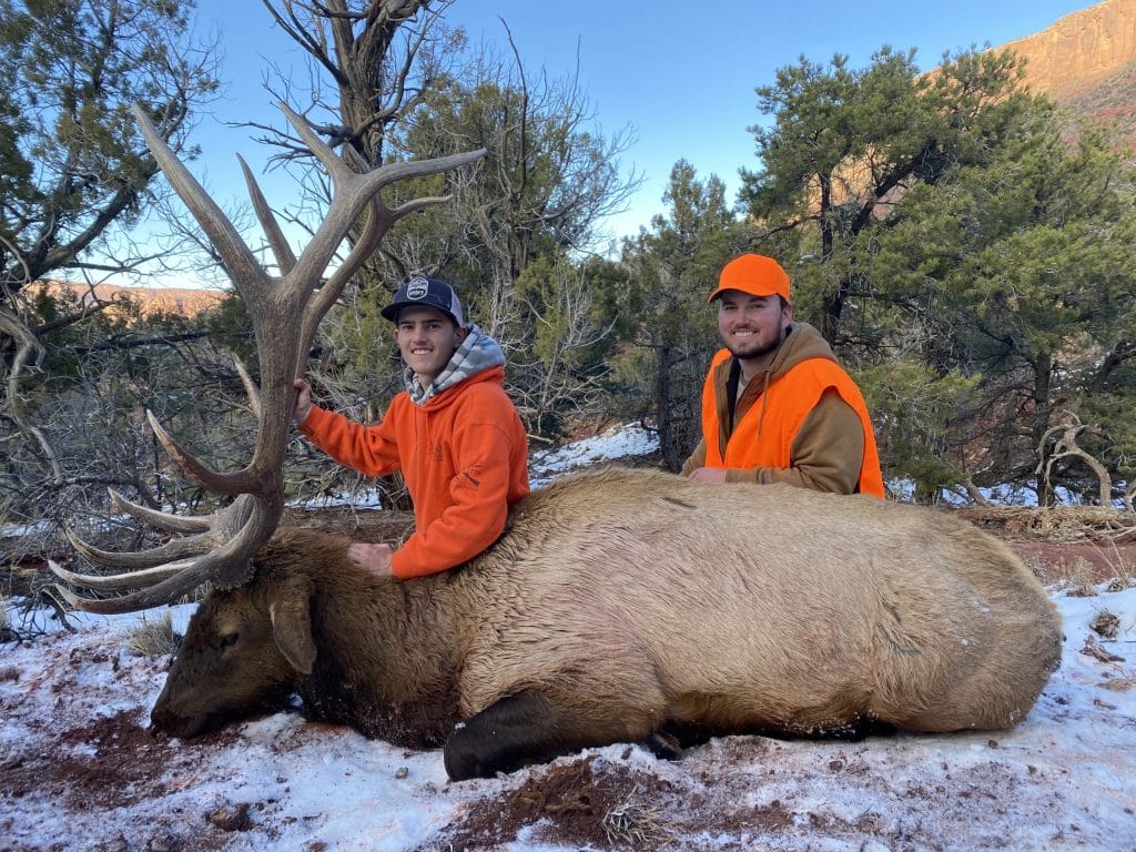 La Sal guided elk hunts