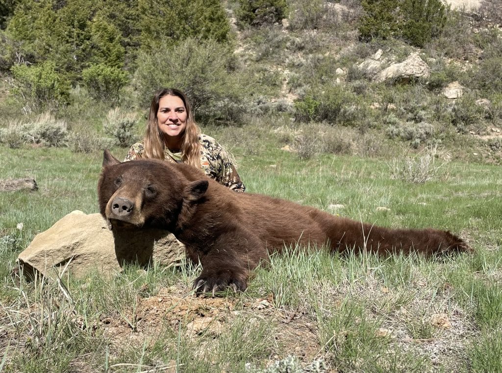hunt black bear in Utah