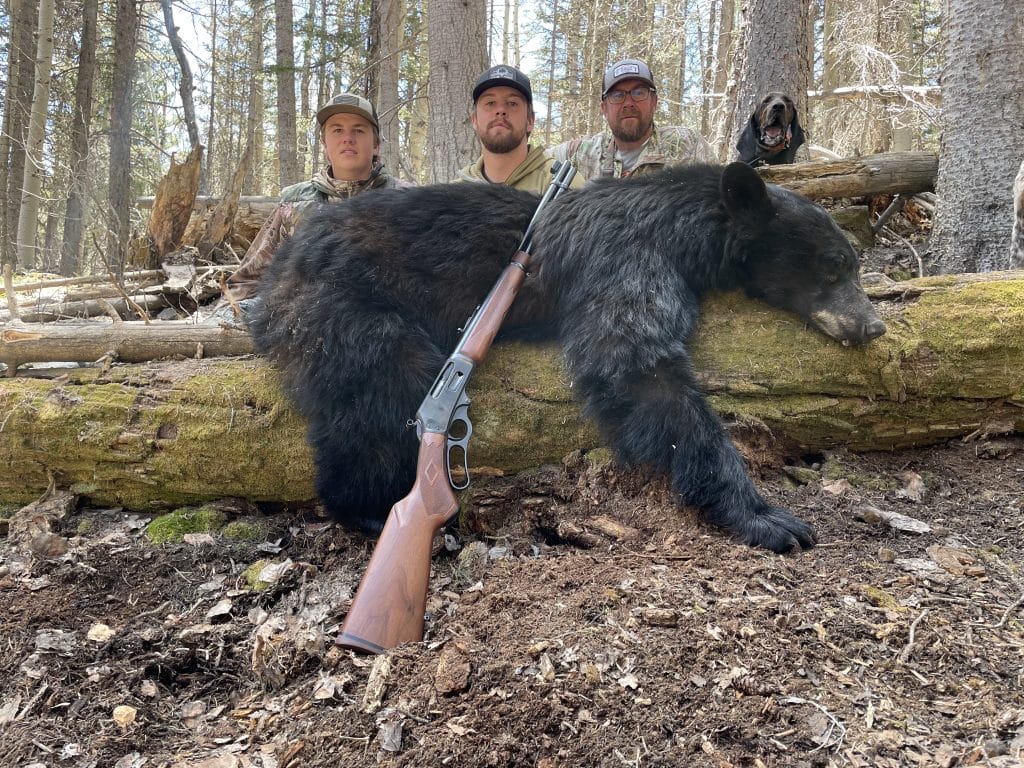guided la sal bear hunt with allout guiding & outfittings