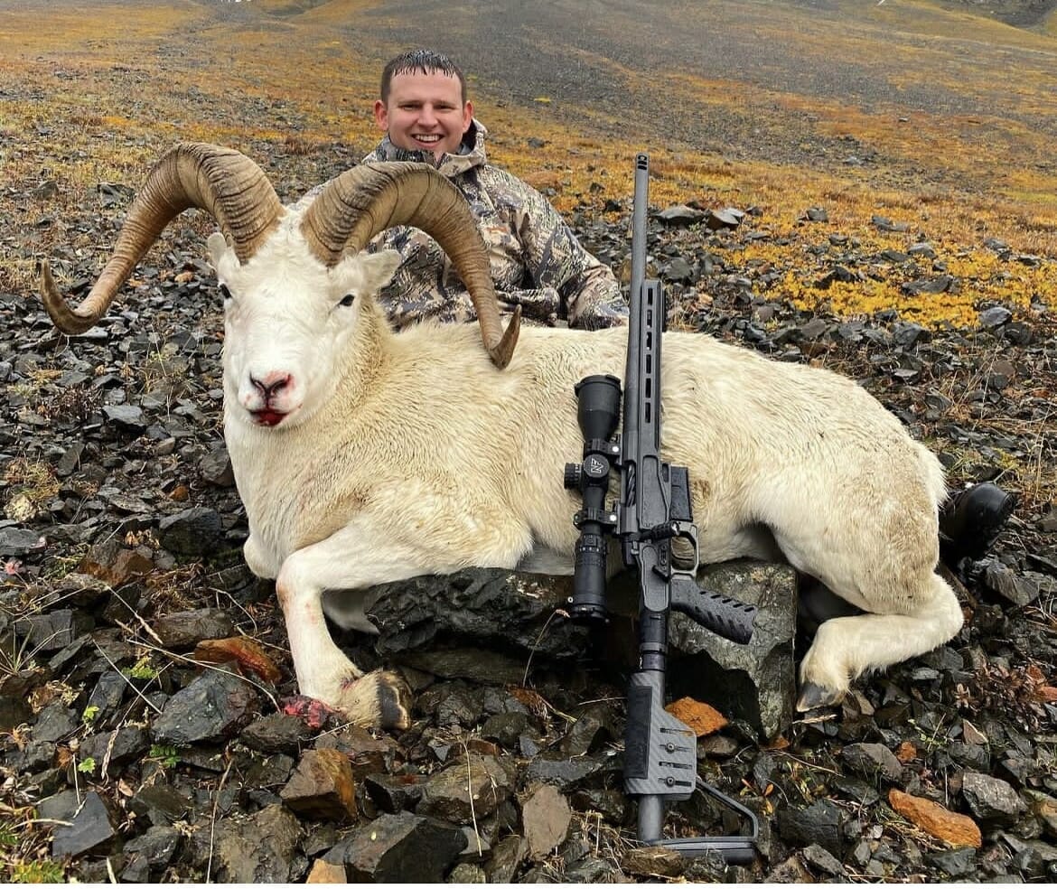 Alaska Dahl Sheep with a viking armament hunting rifle