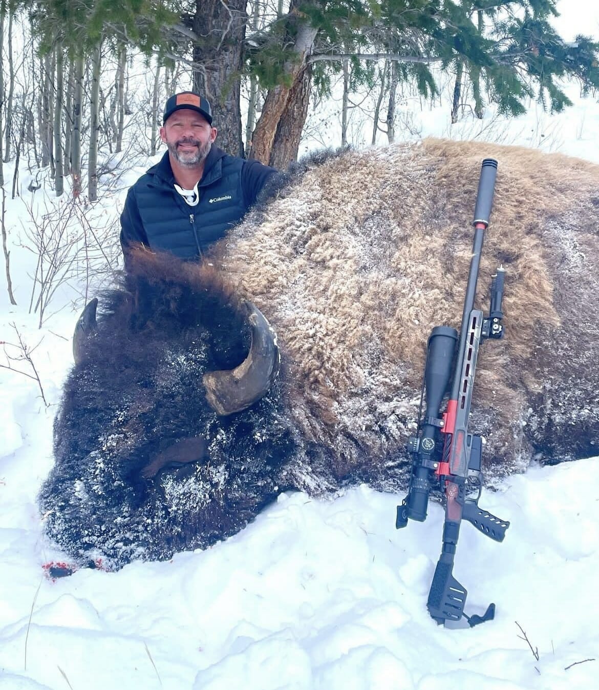 Wyoming bison with viking armament rifle