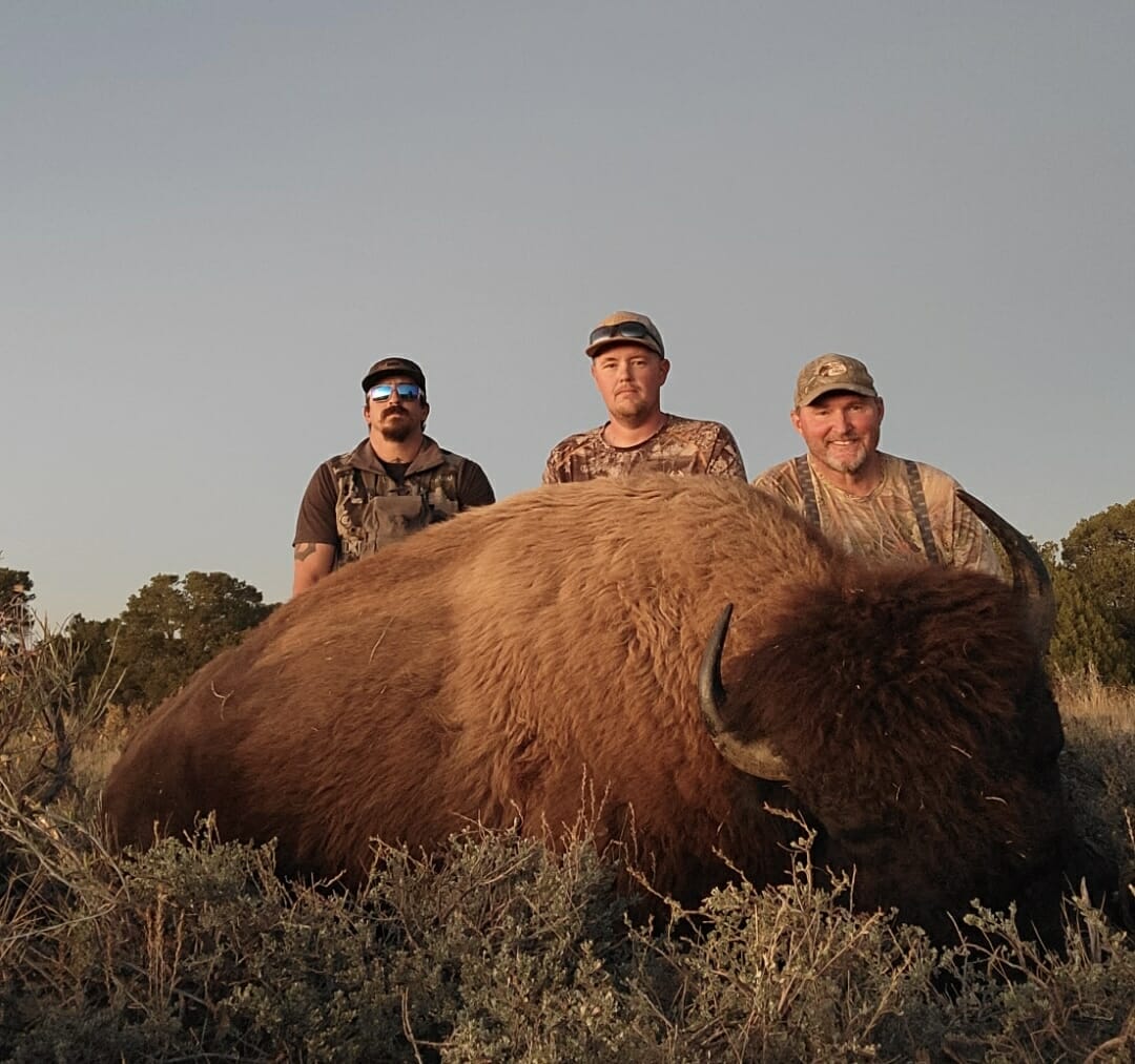 Fully guided Bookcliff Bittercreek Bison hunts in Utah.